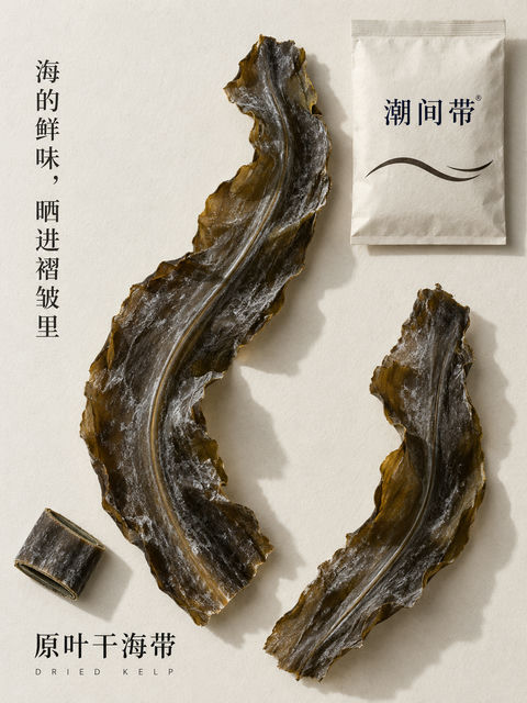 潮间带深褐海带质感纹理海报